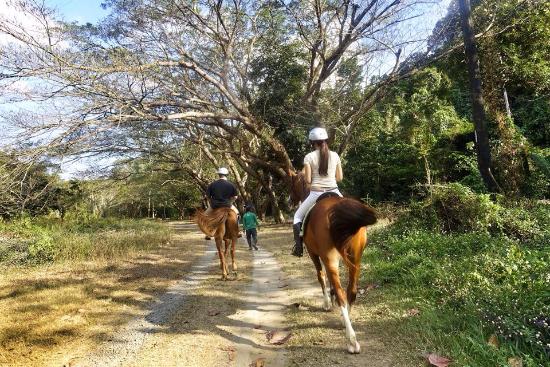 image 4 - horseback riding